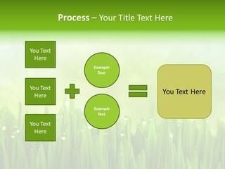 Lawn Morning Flora PowerPoint Template