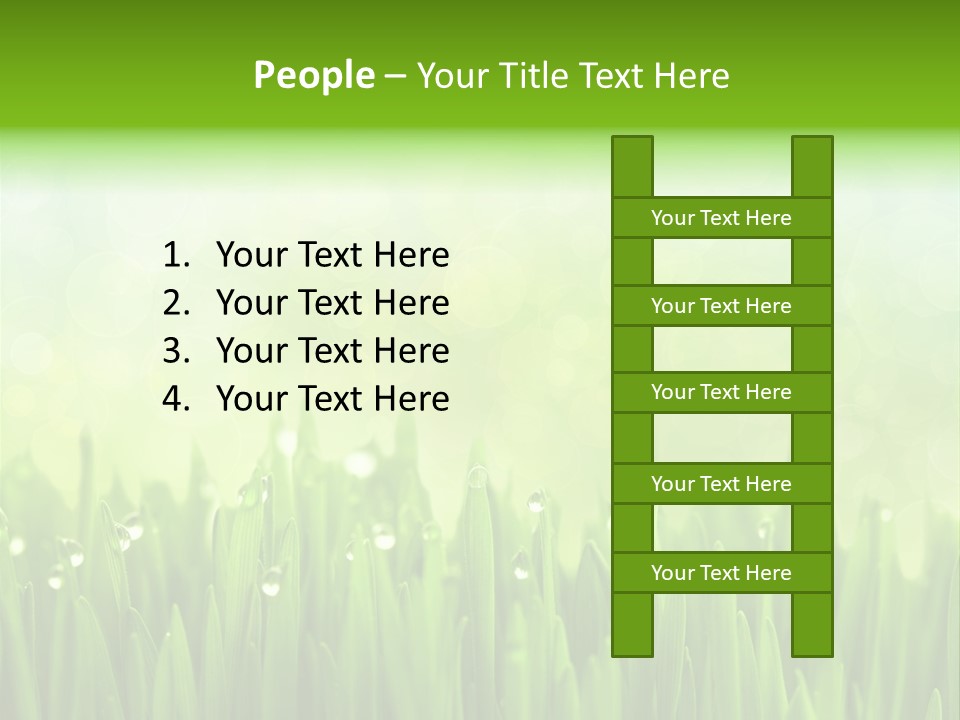 Lawn Morning Flora PowerPoint Template