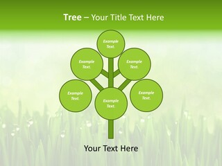 Lawn Morning Flora PowerPoint Template