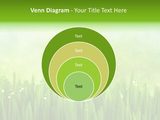 Lawn Morning Flora PowerPoint Template