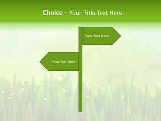 Lawn Morning Flora PowerPoint Template