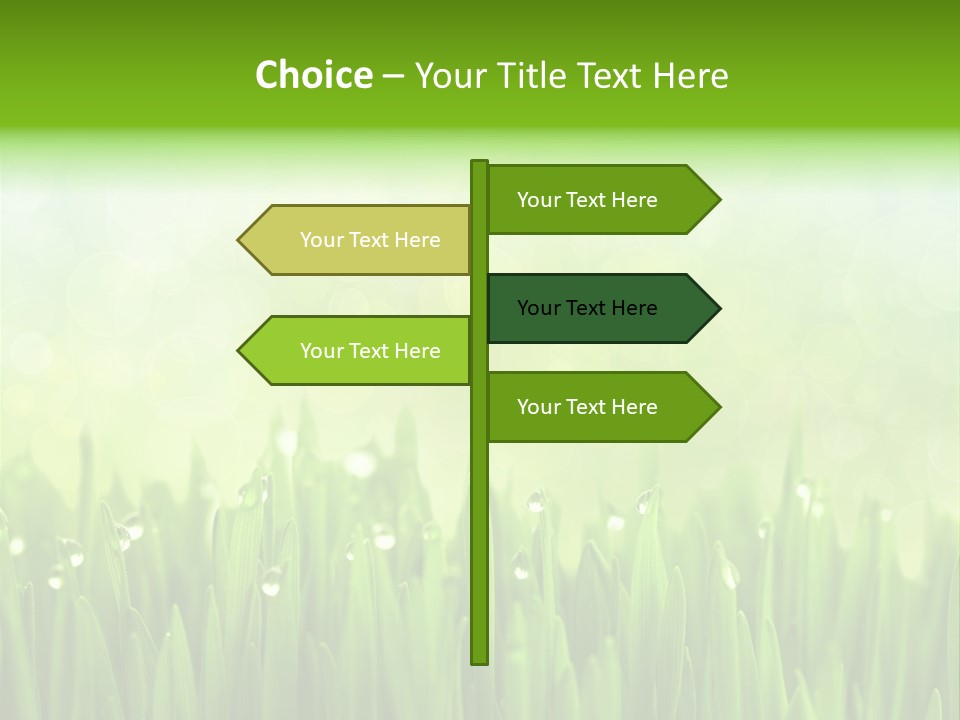 Lawn Morning Flora PowerPoint Template
