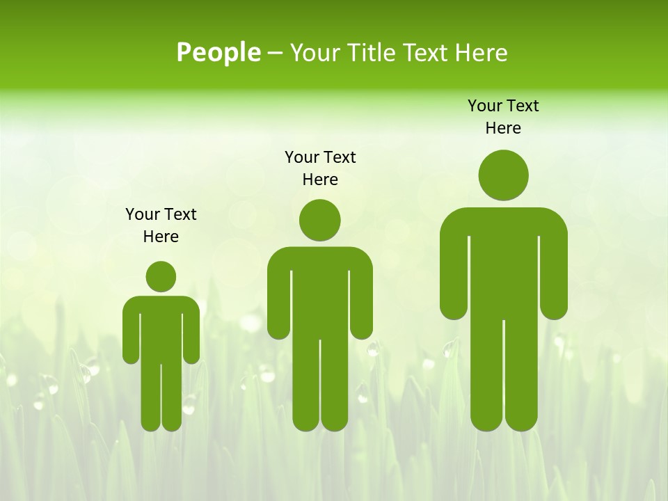 Lawn Morning Flora PowerPoint Template