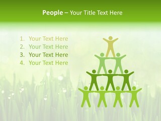 Lawn Morning Flora PowerPoint Template