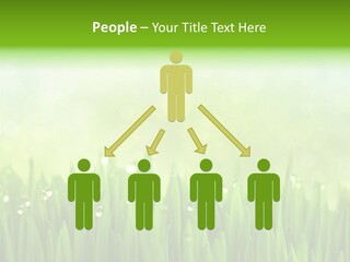 Lawn Morning Flora PowerPoint Template