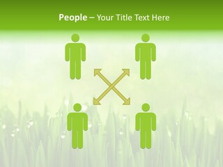 Lawn Morning Flora PowerPoint Template