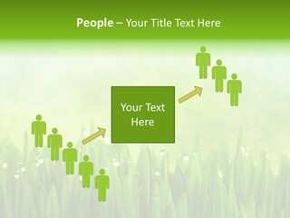 Lawn Morning Flora PowerPoint Template