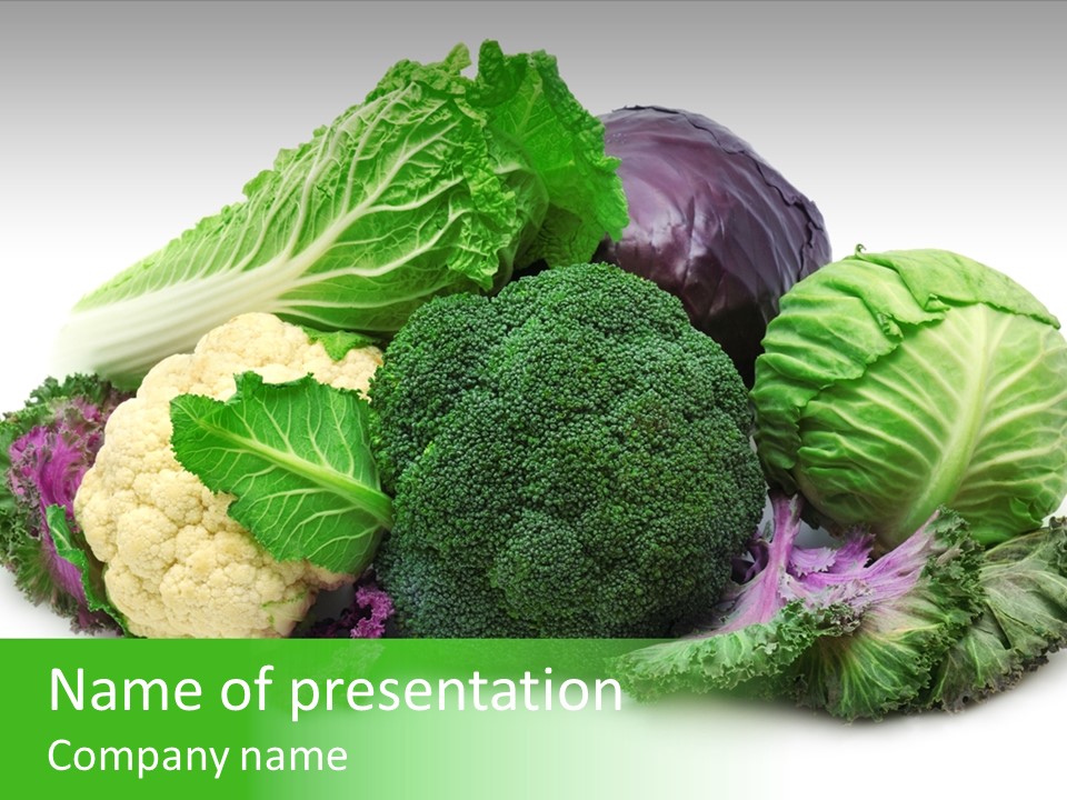 Brussels Cabbages Coleseed PowerPoint Template