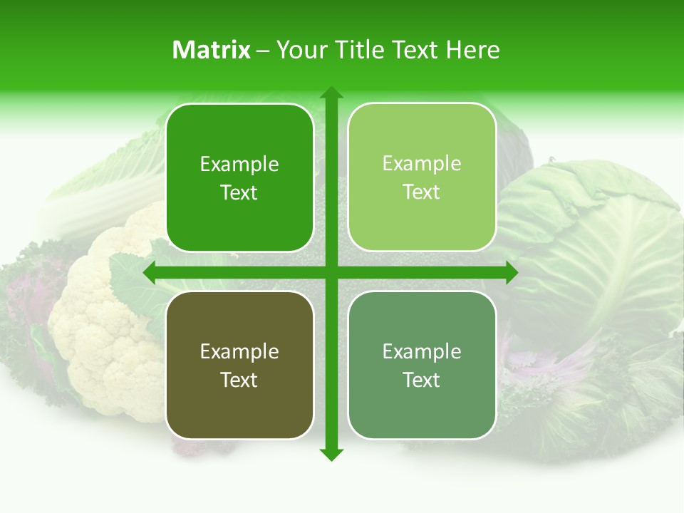 Brussels Cabbages Coleseed PowerPoint Template