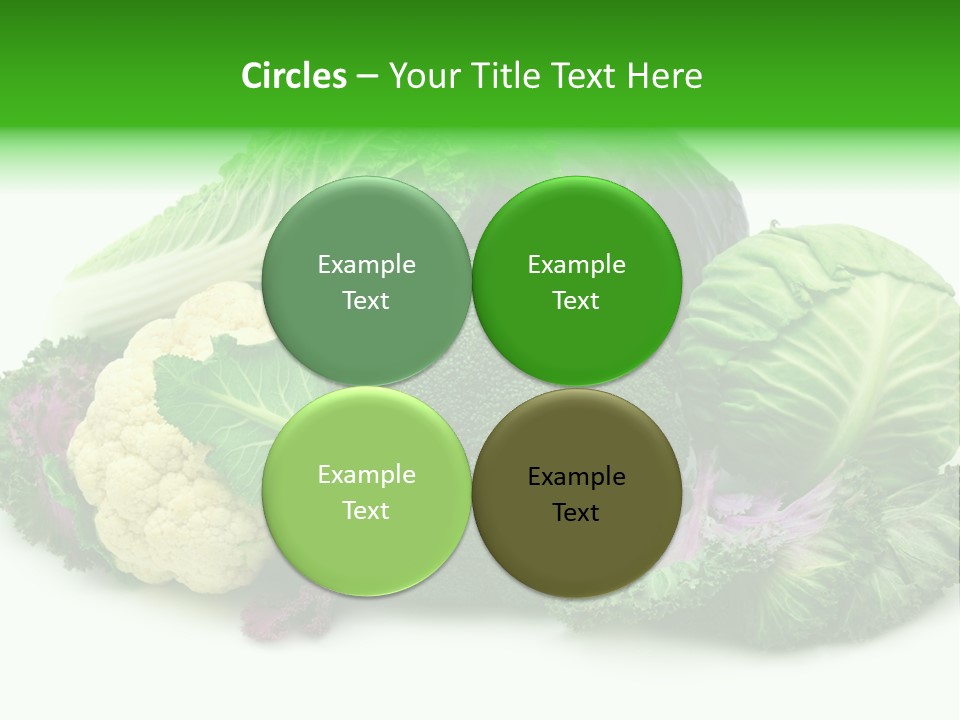 Brussels Cabbages Coleseed PowerPoint Template