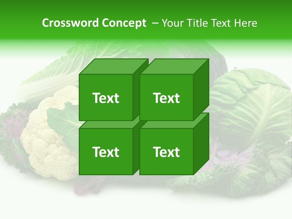 Brussels Cabbages Coleseed PowerPoint Template