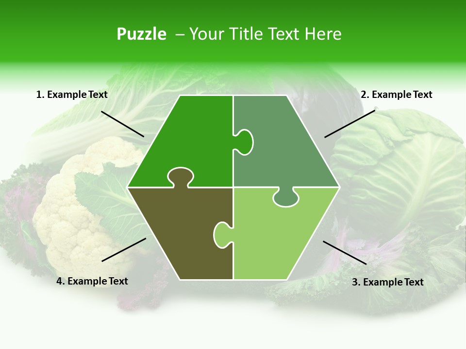 Brussels Cabbages Coleseed PowerPoint Template