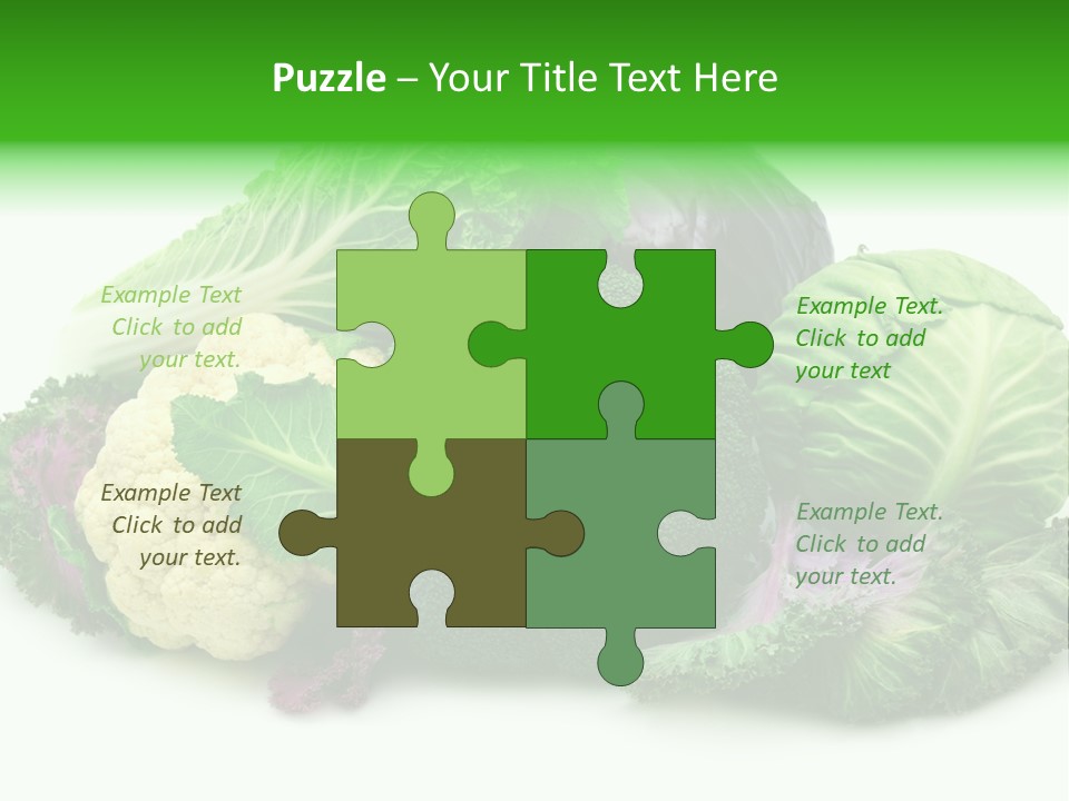 Brussels Cabbages Coleseed PowerPoint Template