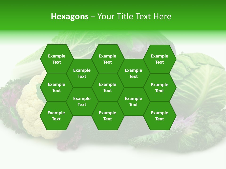 Brussels Cabbages Coleseed PowerPoint Template