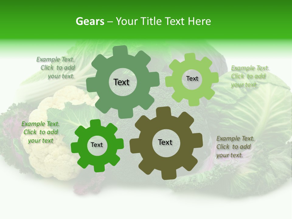 Brussels Cabbages Coleseed PowerPoint Template