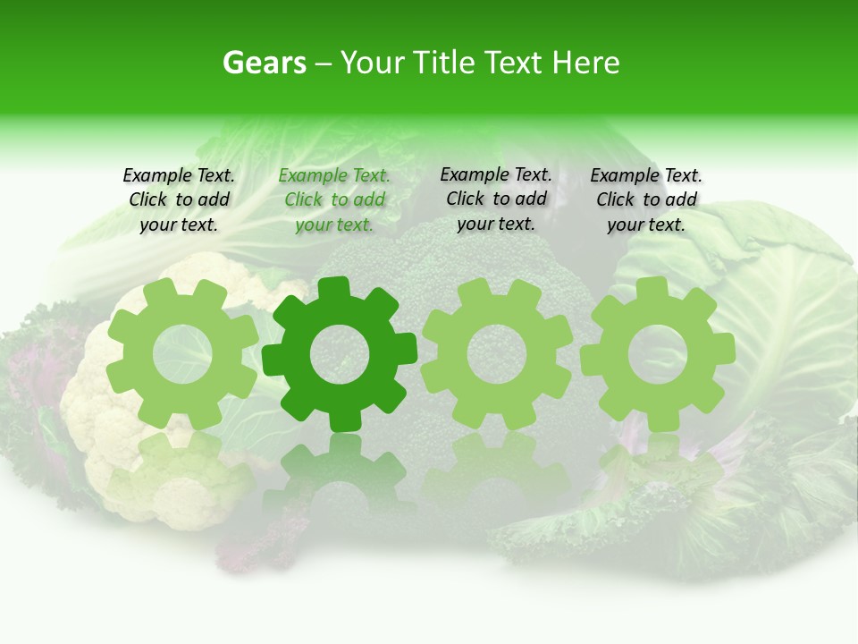 Brussels Cabbages Coleseed PowerPoint Template