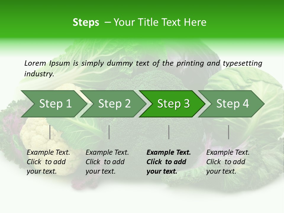 Brussels Cabbages Coleseed PowerPoint Template