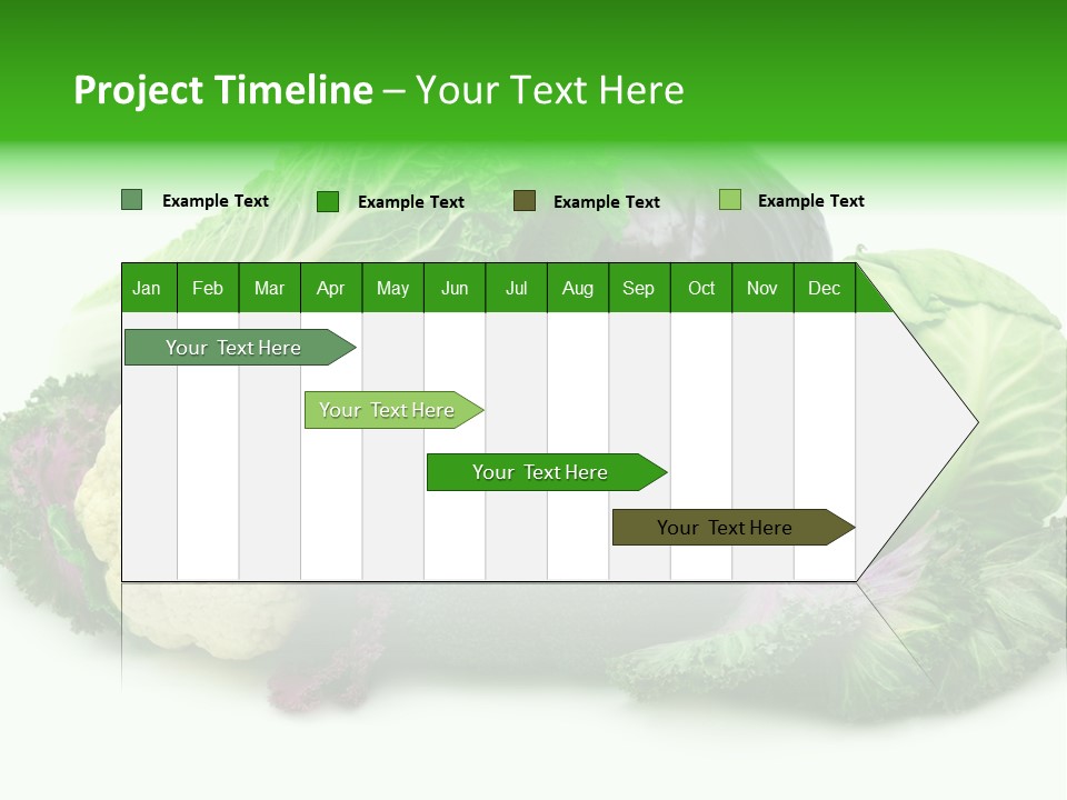 Brussels Cabbages Coleseed PowerPoint Template