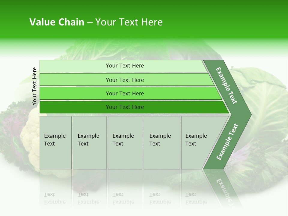 Brussels Cabbages Coleseed PowerPoint Template