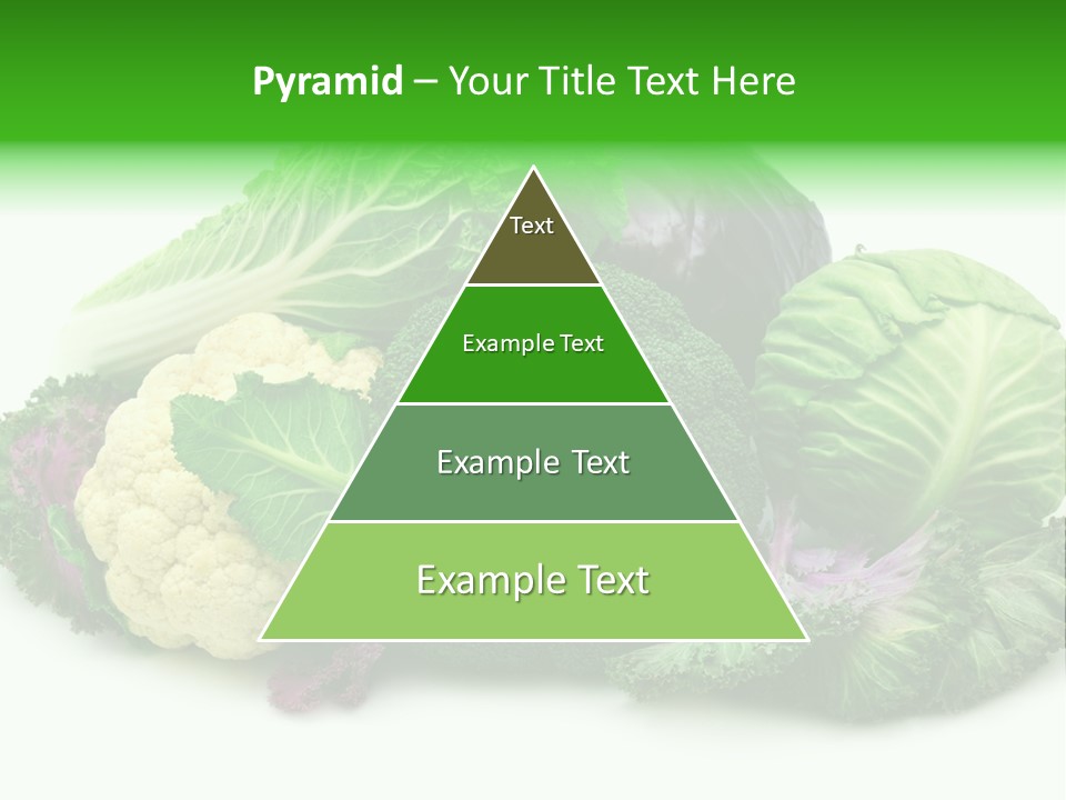 Brussels Cabbages Coleseed PowerPoint Template
