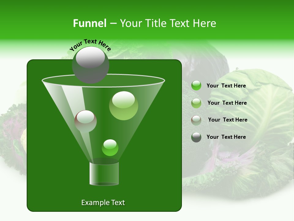 Brussels Cabbages Coleseed PowerPoint Template