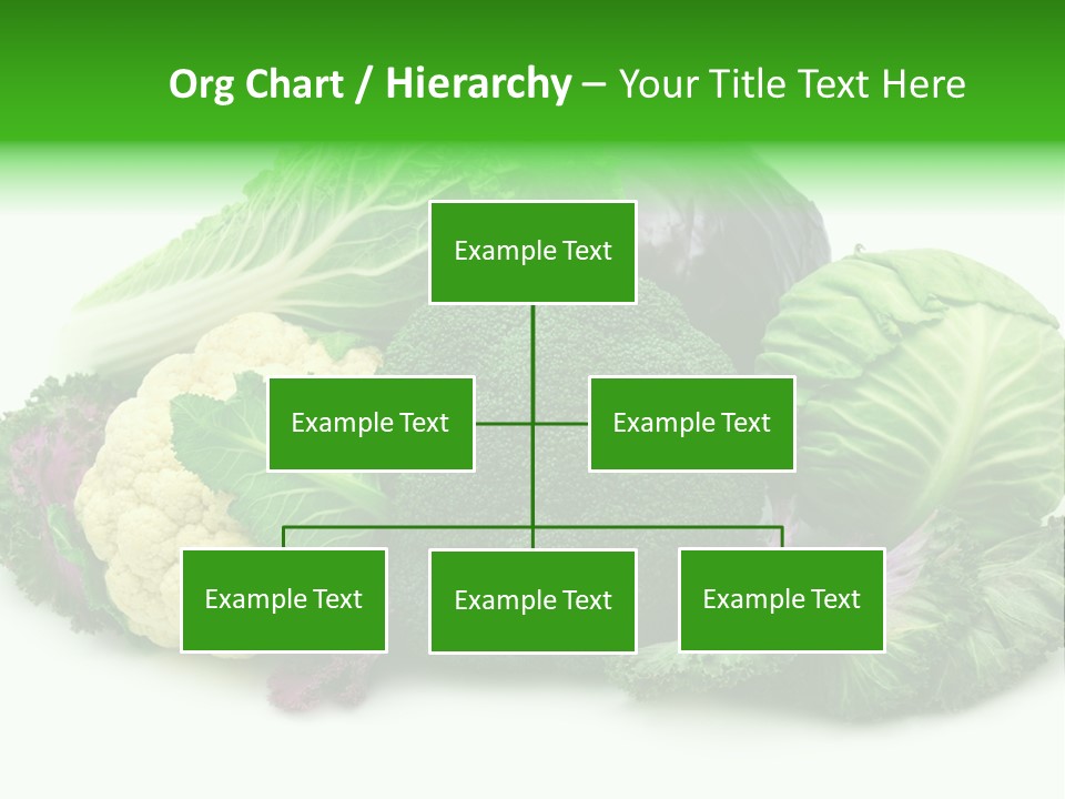 Brussels Cabbages Coleseed PowerPoint Template