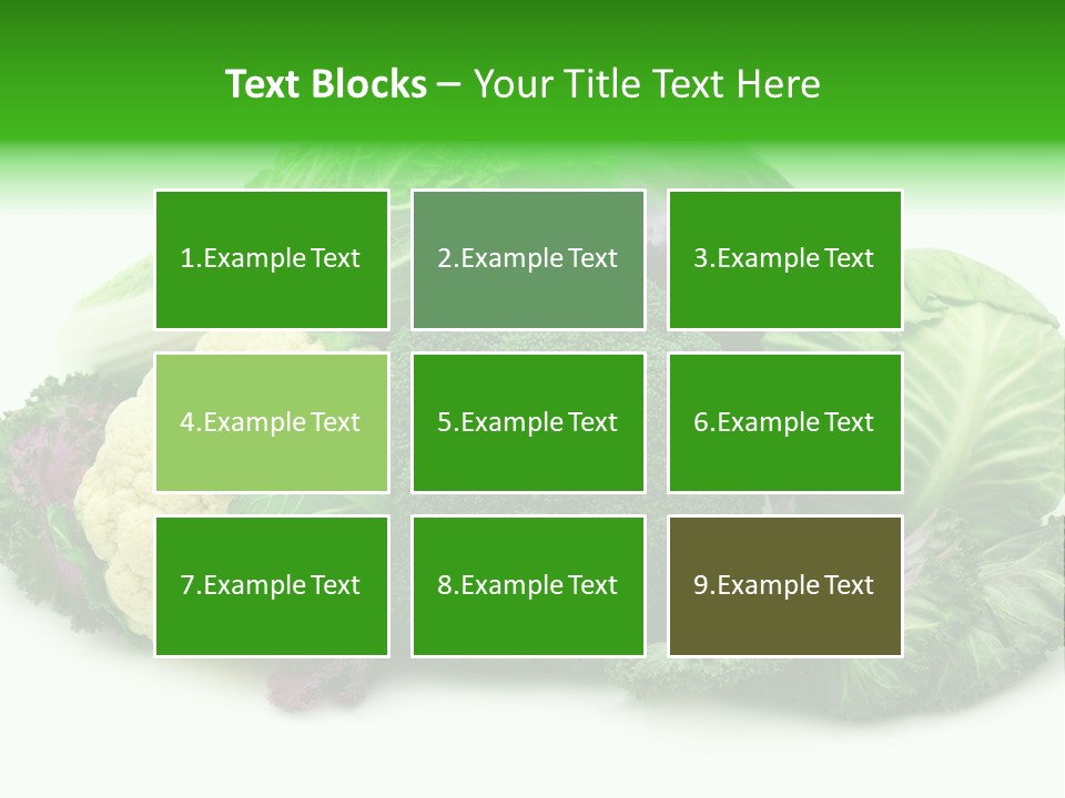 Brussels Cabbages Coleseed PowerPoint Template