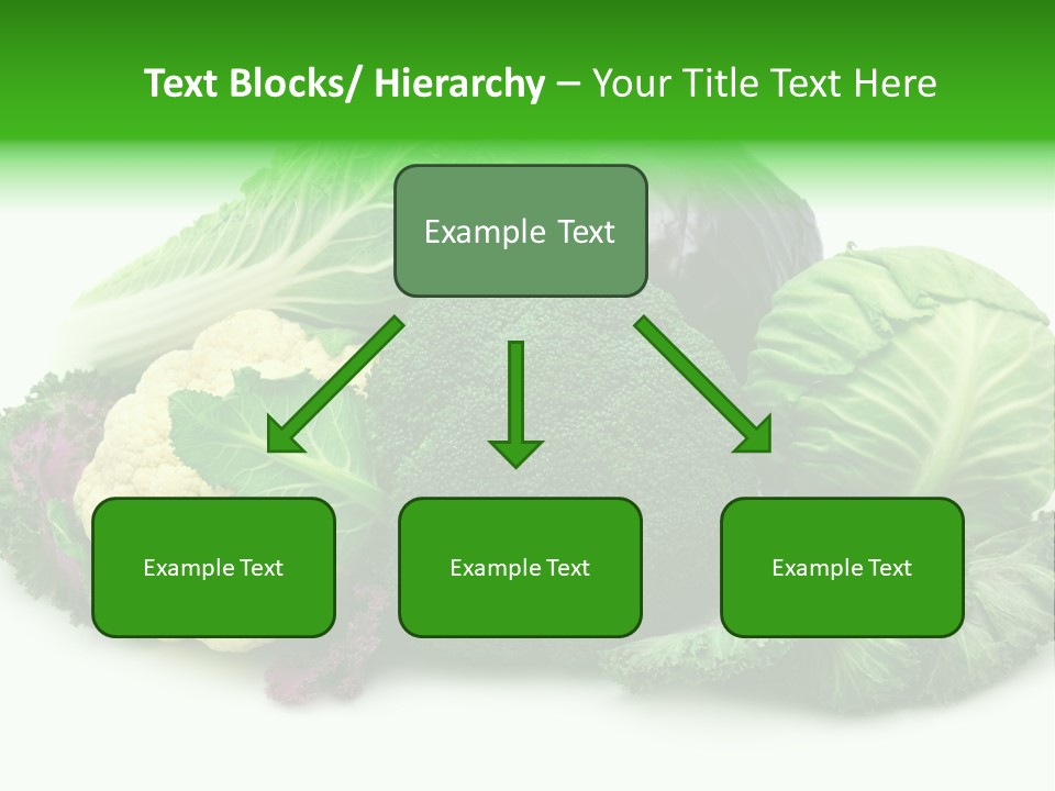Brussels Cabbages Coleseed PowerPoint Template