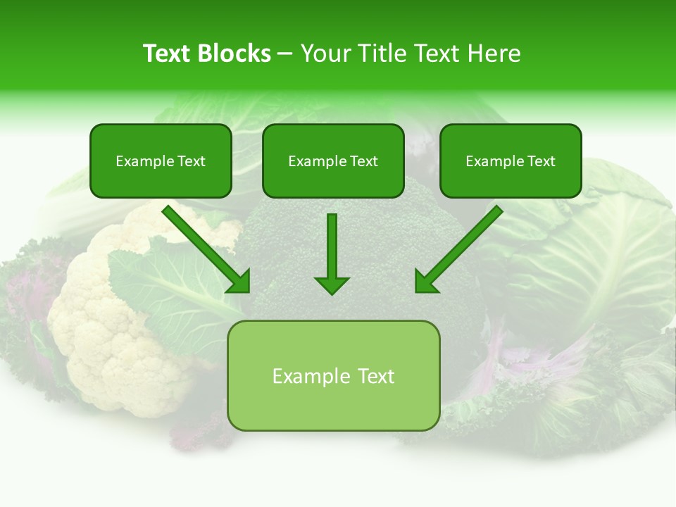 Brussels Cabbages Coleseed PowerPoint Template