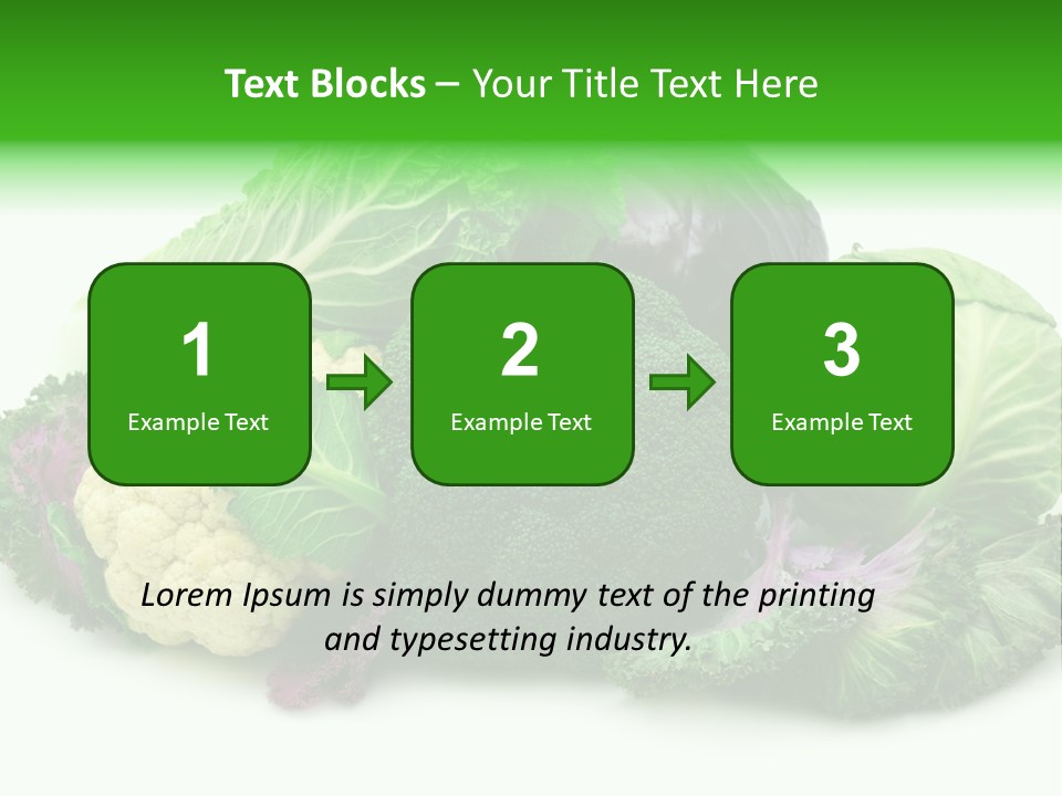 Brussels Cabbages Coleseed PowerPoint Template
