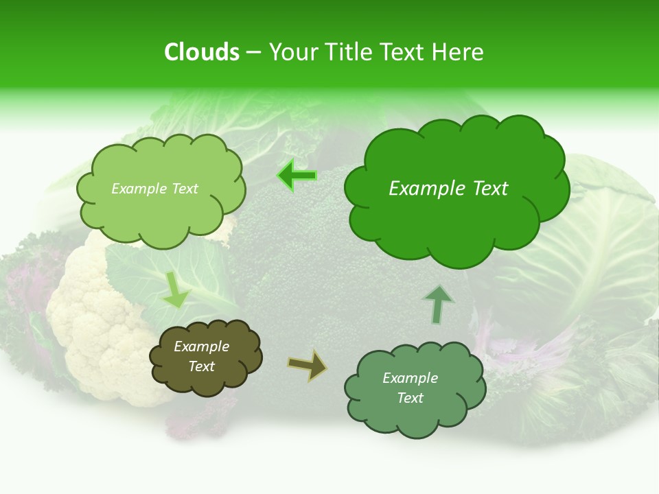 Brussels Cabbages Coleseed PowerPoint Template