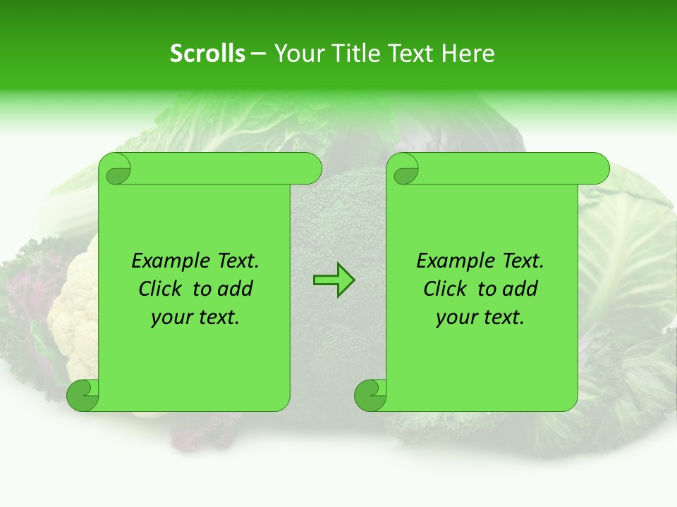 Brussels Cabbages Coleseed PowerPoint Template