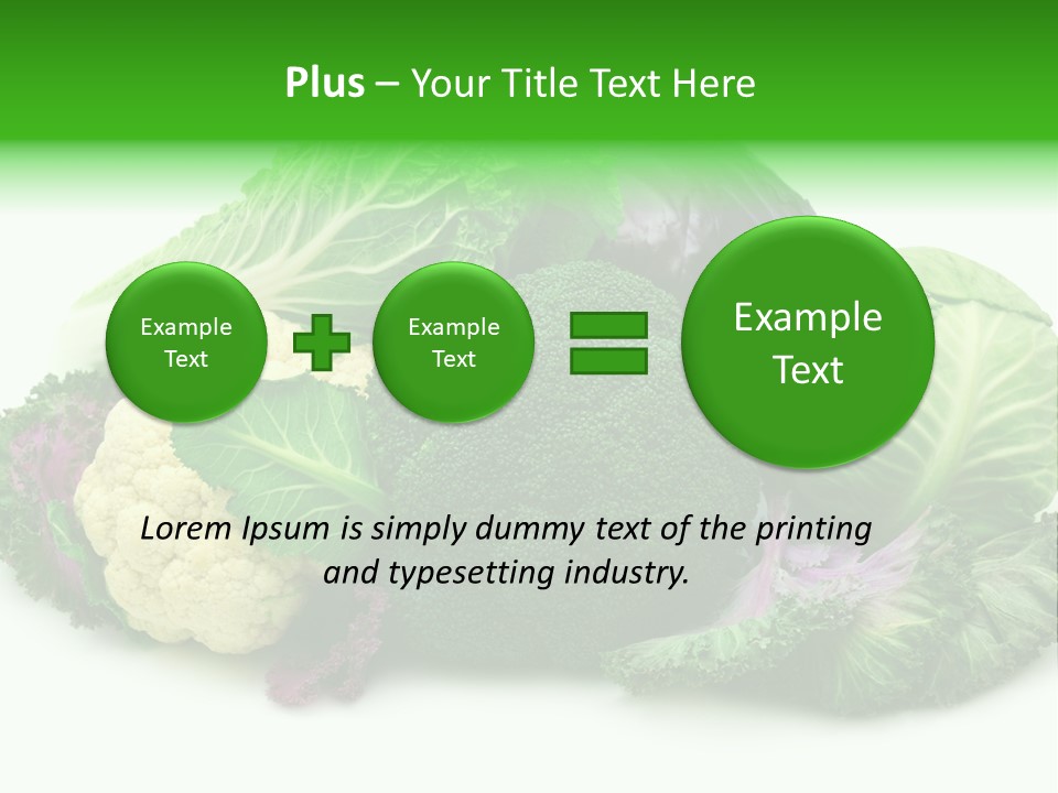 Brussels Cabbages Coleseed PowerPoint Template