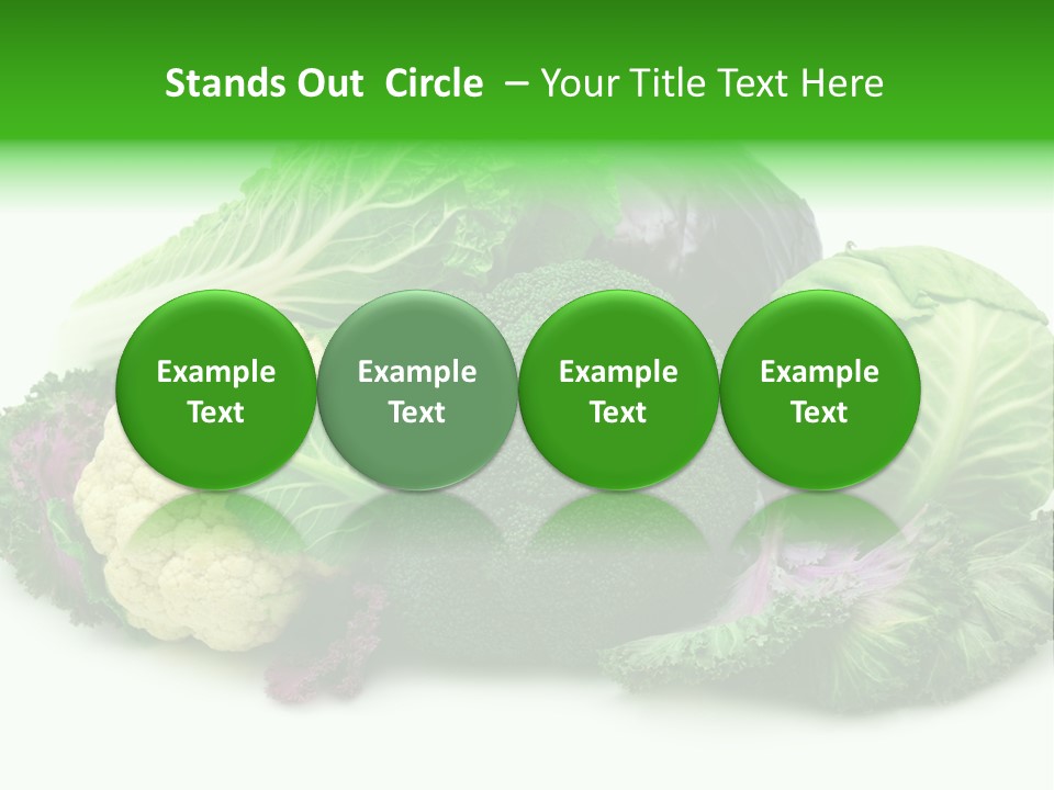 Brussels Cabbages Coleseed PowerPoint Template
