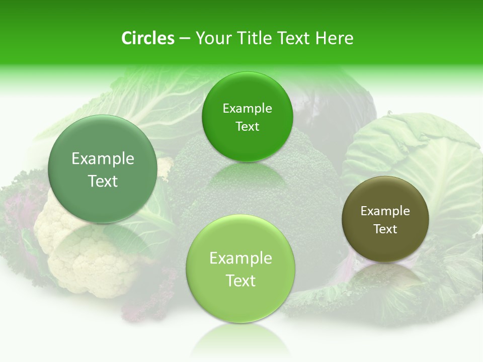 Brussels Cabbages Coleseed PowerPoint Template