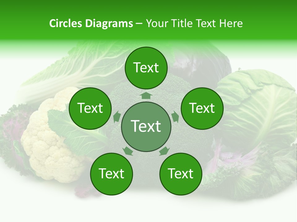 Brussels Cabbages Coleseed PowerPoint Template