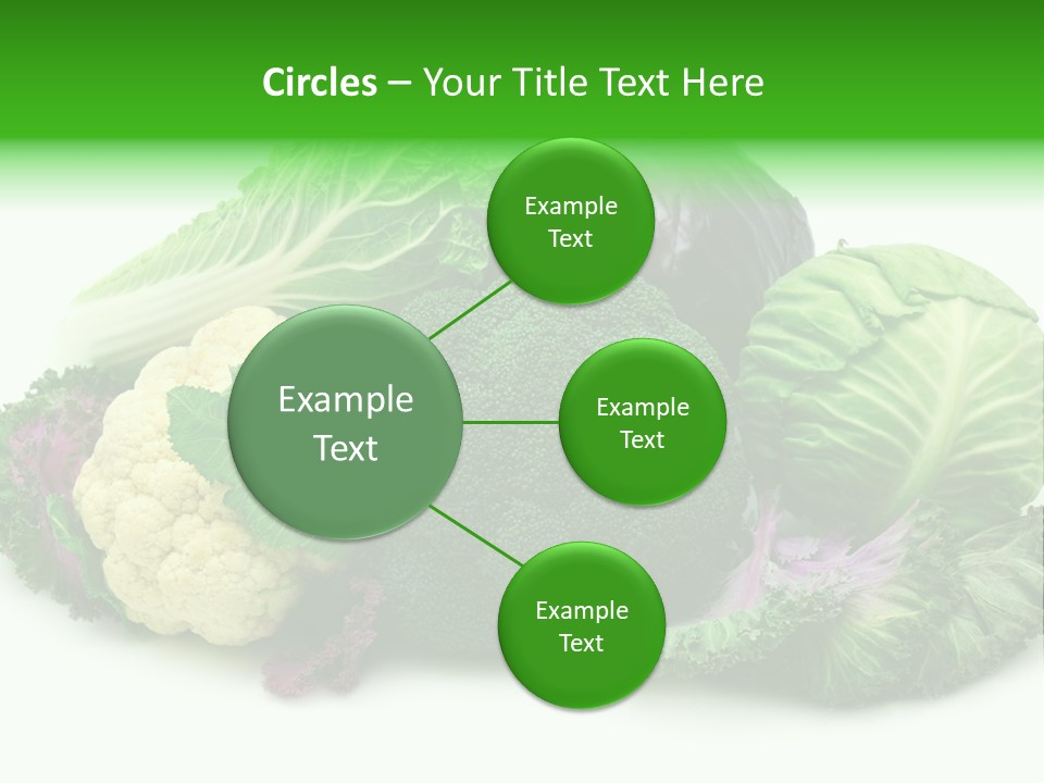 Brussels Cabbages Coleseed PowerPoint Template