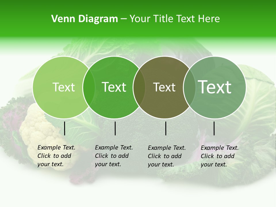Brussels Cabbages Coleseed PowerPoint Template