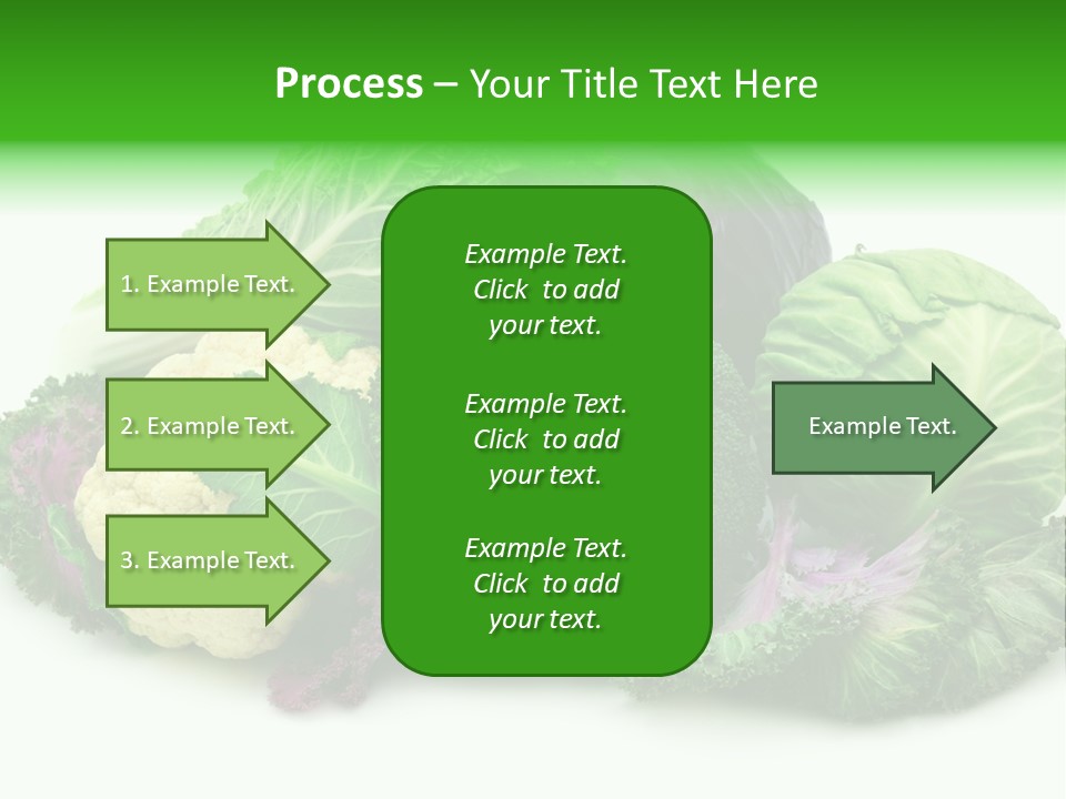 Brussels Cabbages Coleseed PowerPoint Template