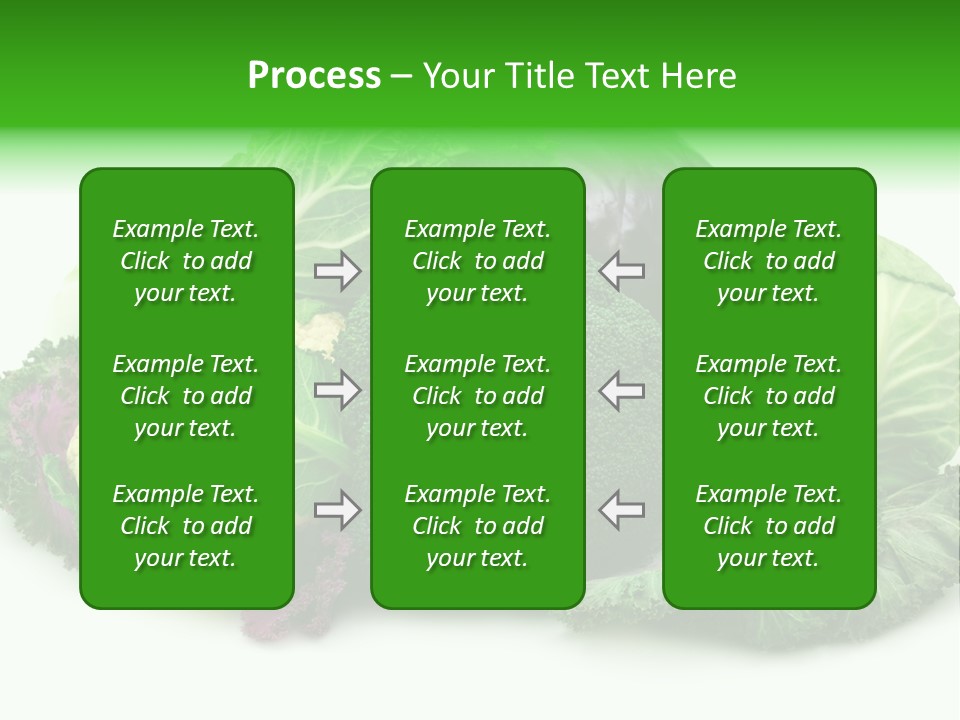 Brussels Cabbages Coleseed PowerPoint Template