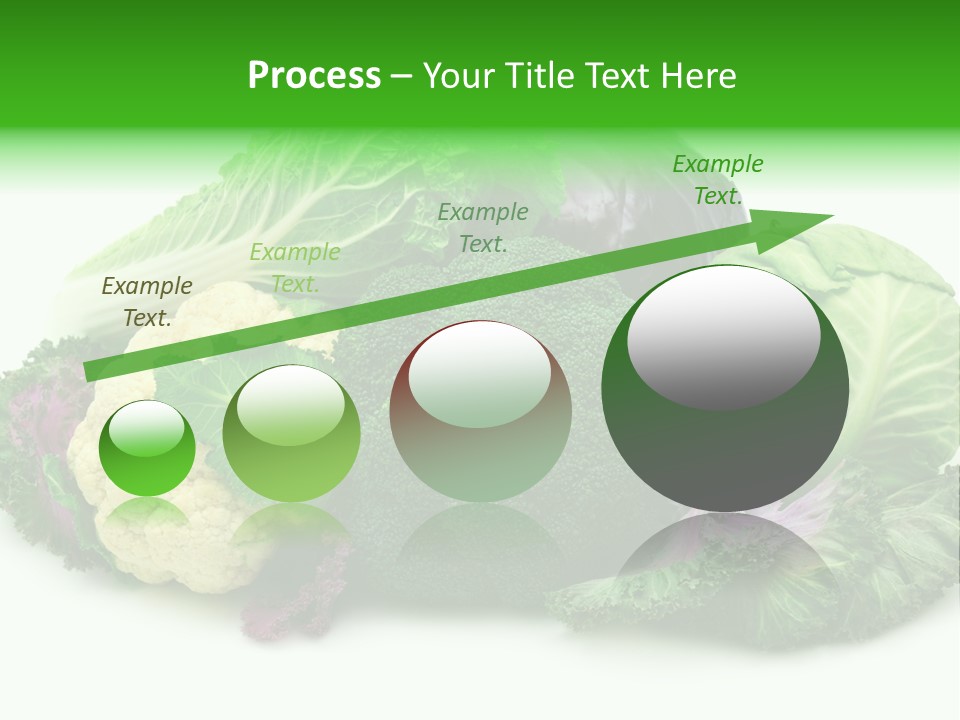 Brussels Cabbages Coleseed PowerPoint Template