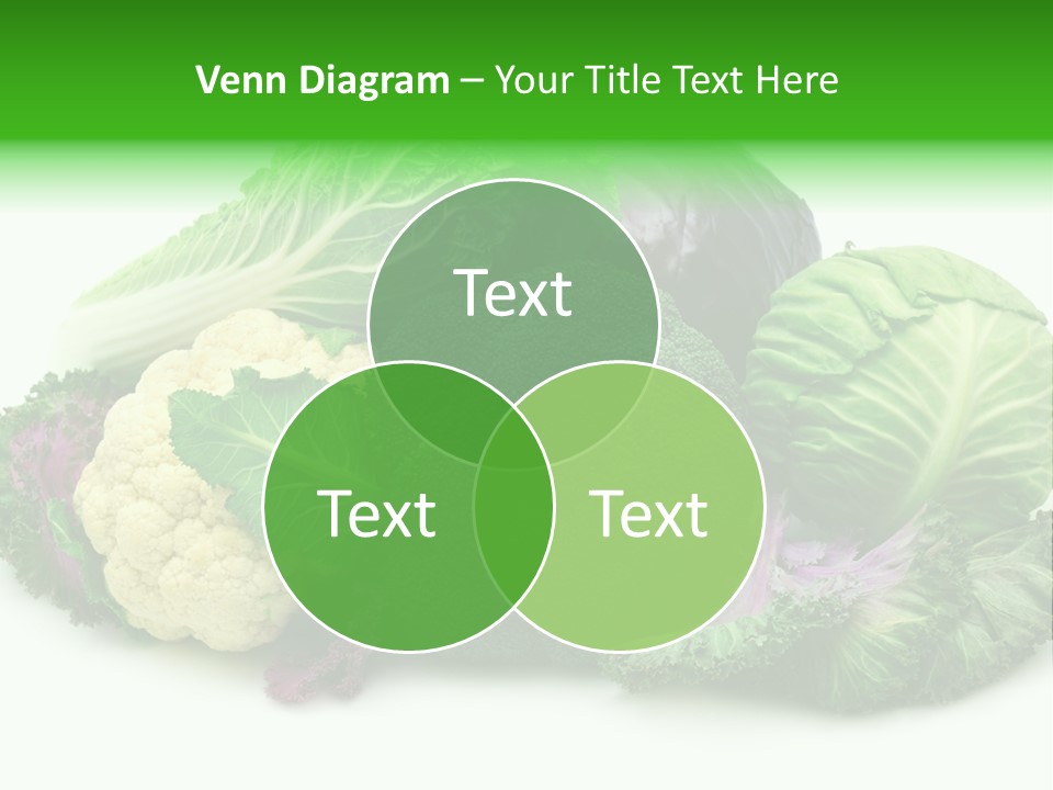 Brussels Cabbages Coleseed PowerPoint Template