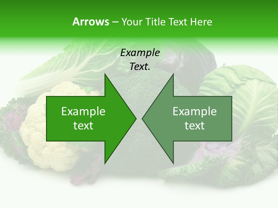 Brussels Cabbages Coleseed PowerPoint Template