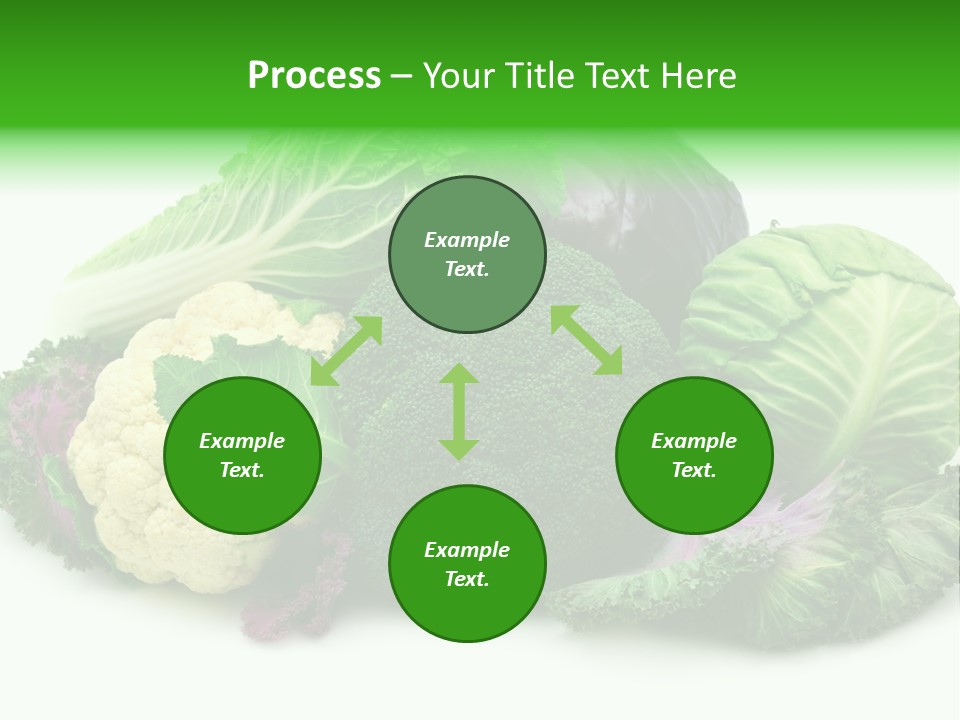 Brussels Cabbages Coleseed PowerPoint Template