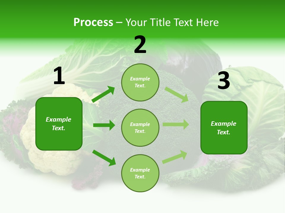 Brussels Cabbages Coleseed PowerPoint Template