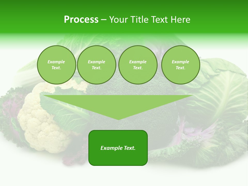 Brussels Cabbages Coleseed PowerPoint Template