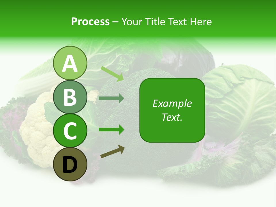 Brussels Cabbages Coleseed PowerPoint Template