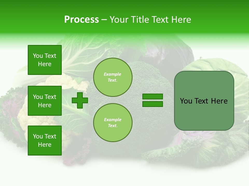 Brussels Cabbages Coleseed PowerPoint Template