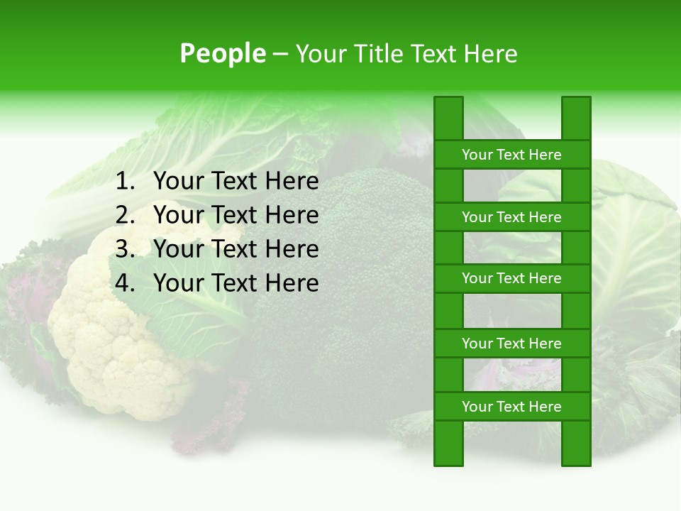 Brussels Cabbages Coleseed PowerPoint Template