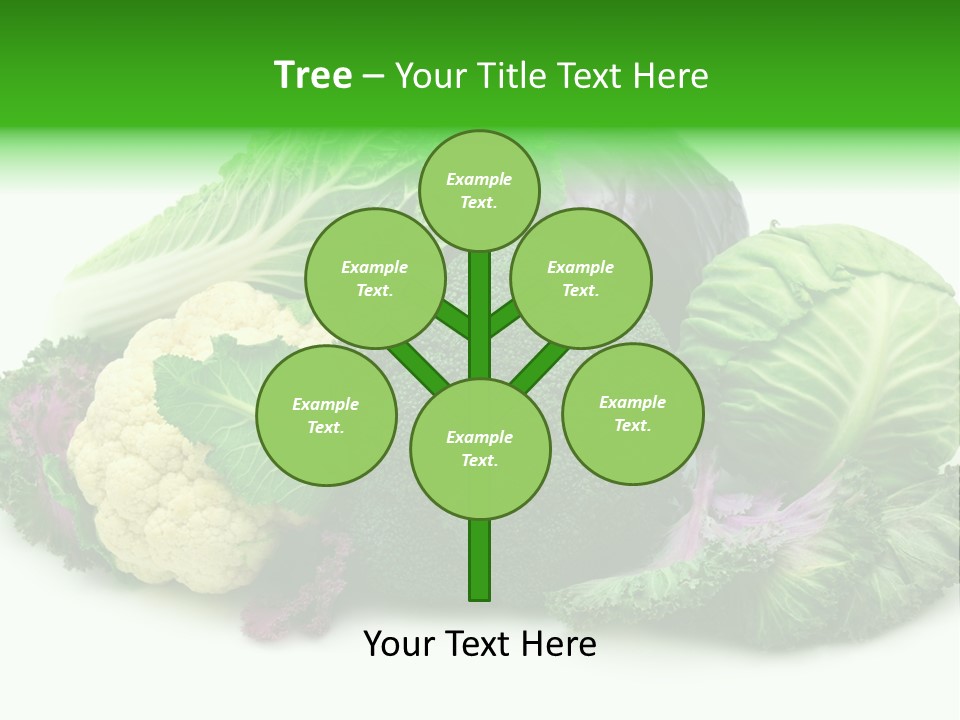 Brussels Cabbages Coleseed PowerPoint Template